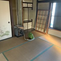 IMG_0490